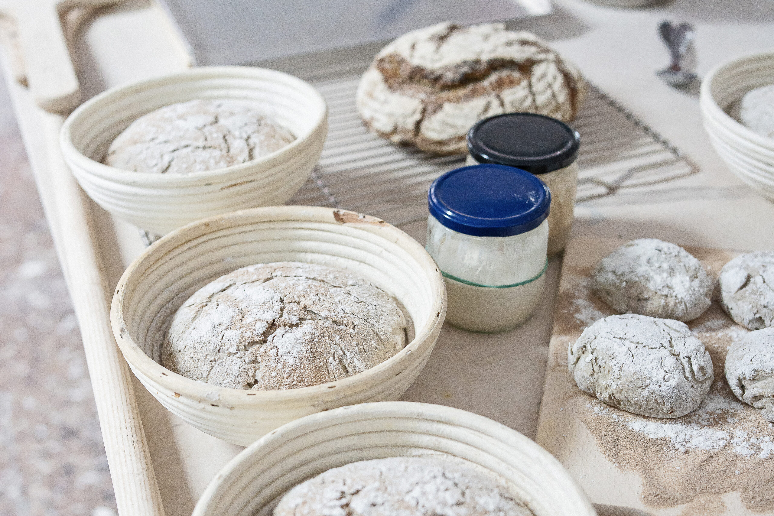 BaMo_Jubiläum2025_GretaHientzsch04__RGB