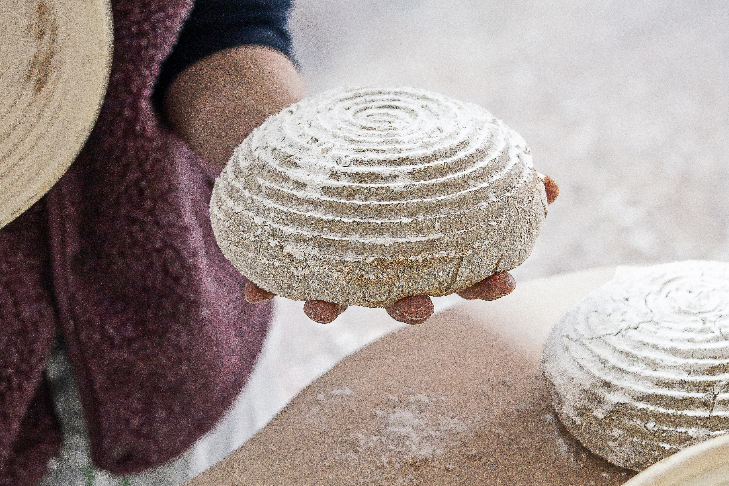 BaMo_Jubiläum2025_GretaHientzsch10-2__RGB_new