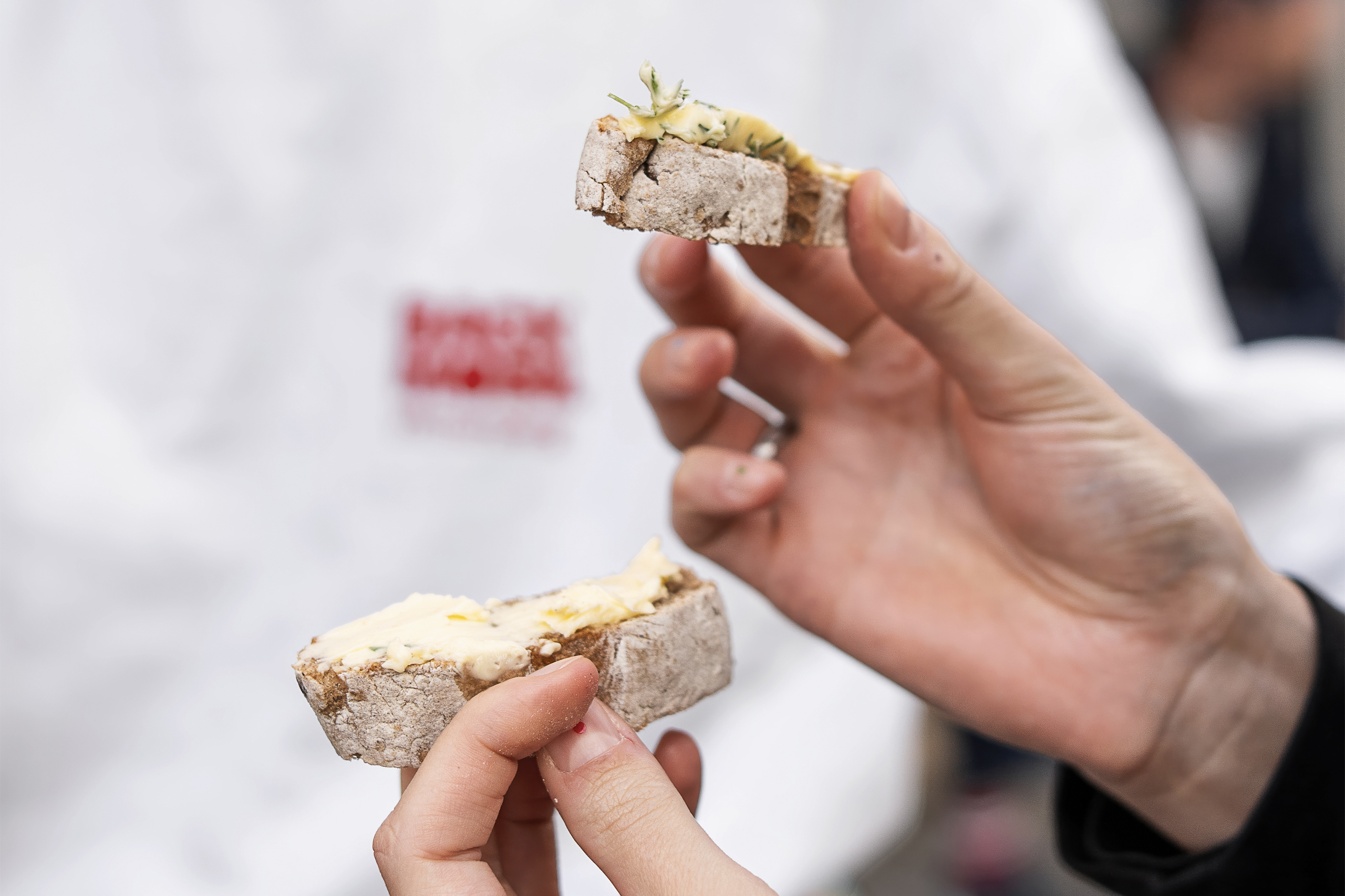 BaMo_WanderWald2025_GretaHientzsch01-2__RGB_new